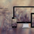 word2010是哪个公司开发的